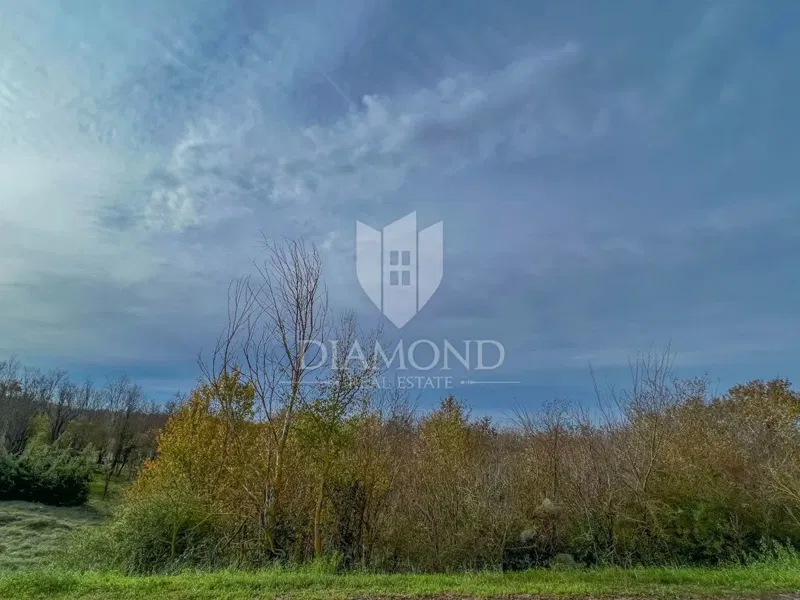 Zona Montona, ampio terreno per investimento – 2