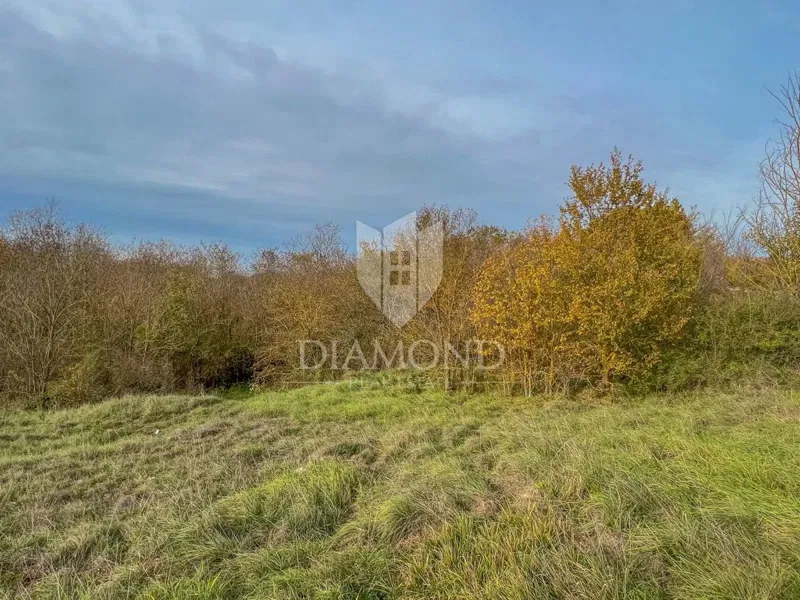 Zona Montona, ampio terreno per investimento – 3