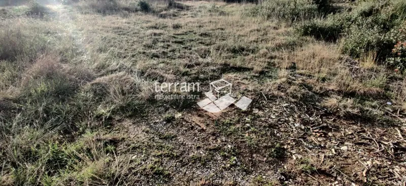 Istria, Štinjan, due terreni edificabili 989m2 e 1014m2, in vendita – 2