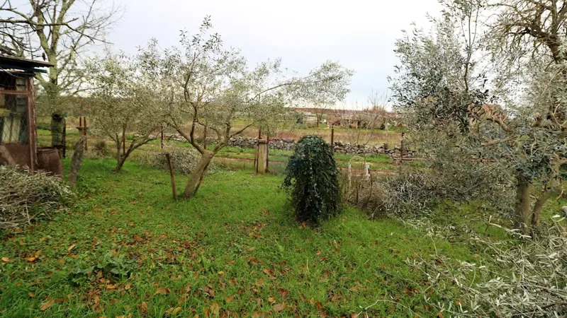 Terreno edificabile Višnjan, 420m2 – 2