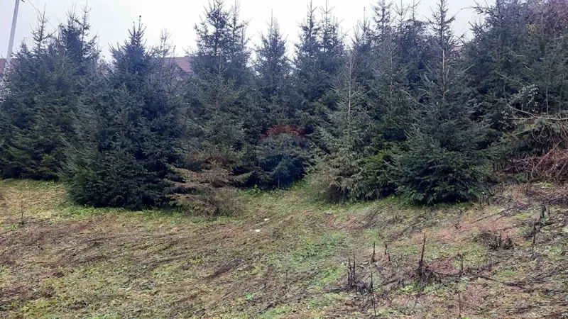 Telek Vrbovsko – 3