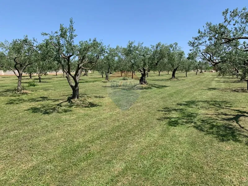 Земельный участок нестроительного назначения Muntić, Ližnjan, 7.208m2 – 2