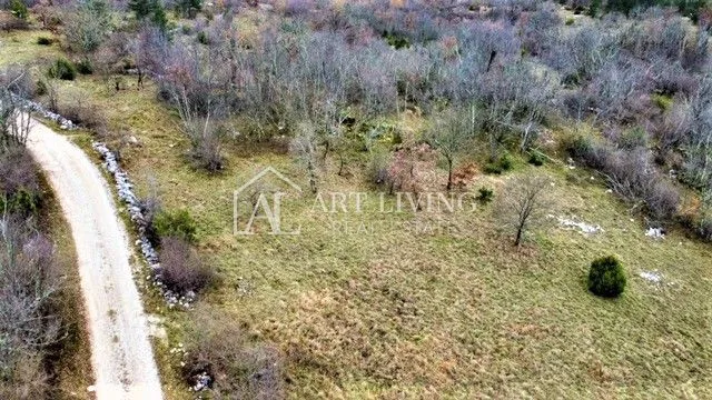 Oprtalj, lepo kmetijsko zemljišče 10.200 m2 – 3