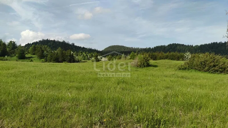 Zemljišče Fužine, 22378m2 – 3