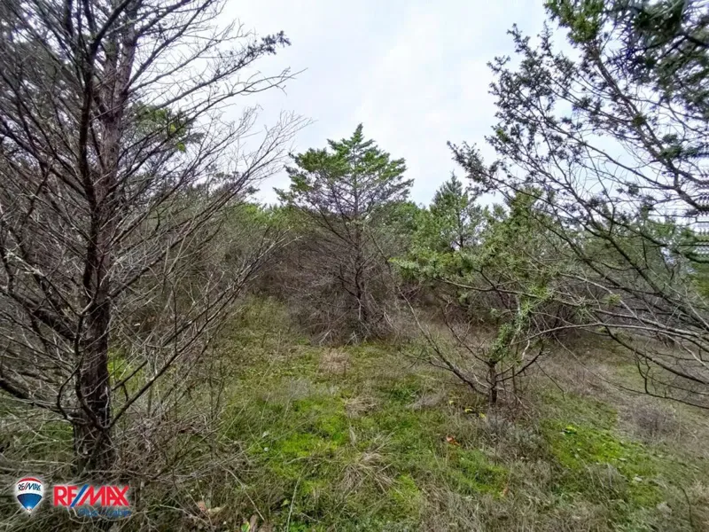 Building land Kršan, 15.282m2 – 3