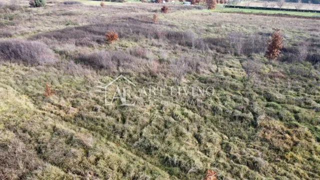 Umag-okolica, Atraktivno gradbeno zemljišče 2981 m2 – 2