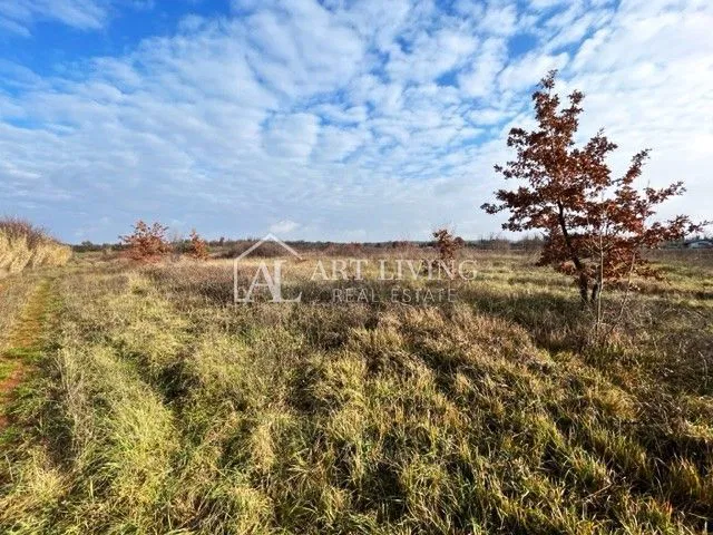 Umag-okolica, Atraktivno gradbeno zemljišče 2981 m2 – 3