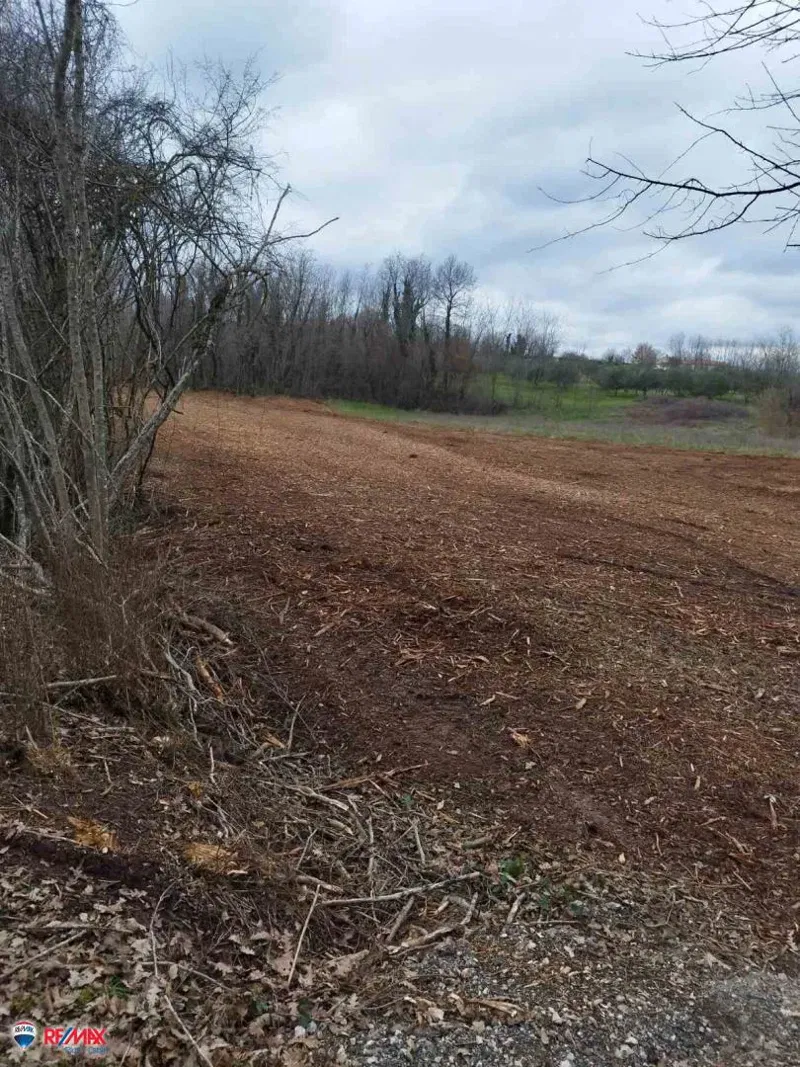 Farmland Barban, 11.669m2 – 2