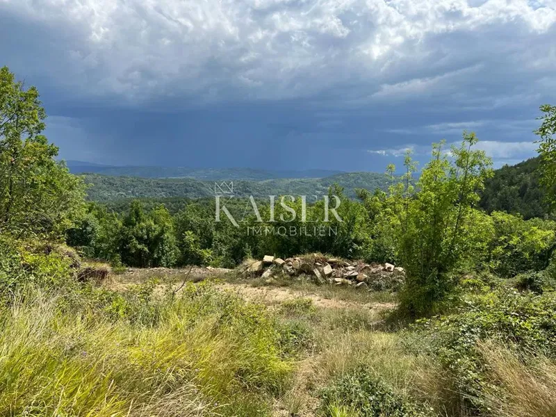 Buzet – Bellissimo terreno agricolo di 33.000 m2 con i resti di una grande casa – 2