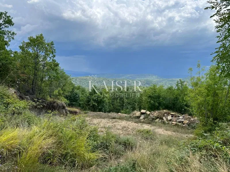 Buzet – Bellissimo terreno agricolo di 33.000 m2 con i resti di una grande casa – 3