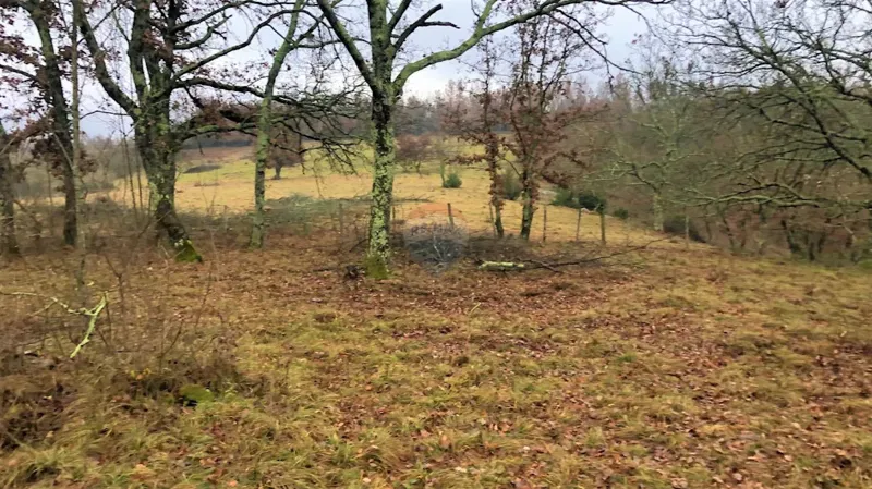 Building plot Makovci, Grožnjan, 3.654m2 – 2