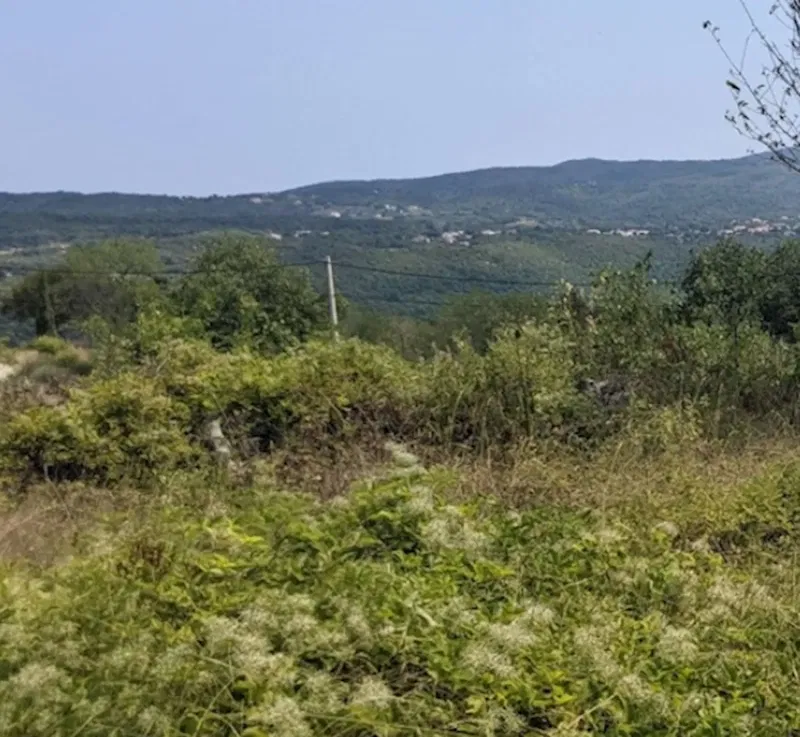 Telek Labin – 2