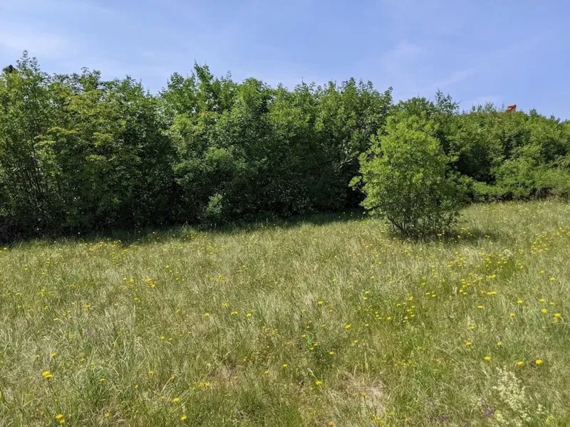 Terreno Labin, 3.500m2 – 3