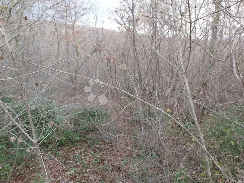 Terreno Marceljani, Labin, 3.083m2 – 2