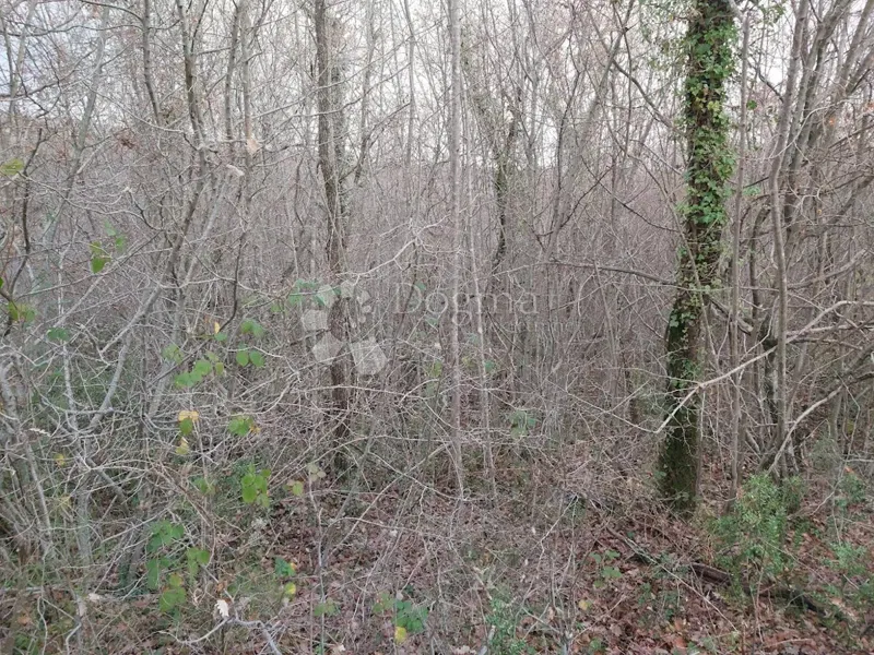 Terreno Marceljani, Labin, 3.083m2 – 3