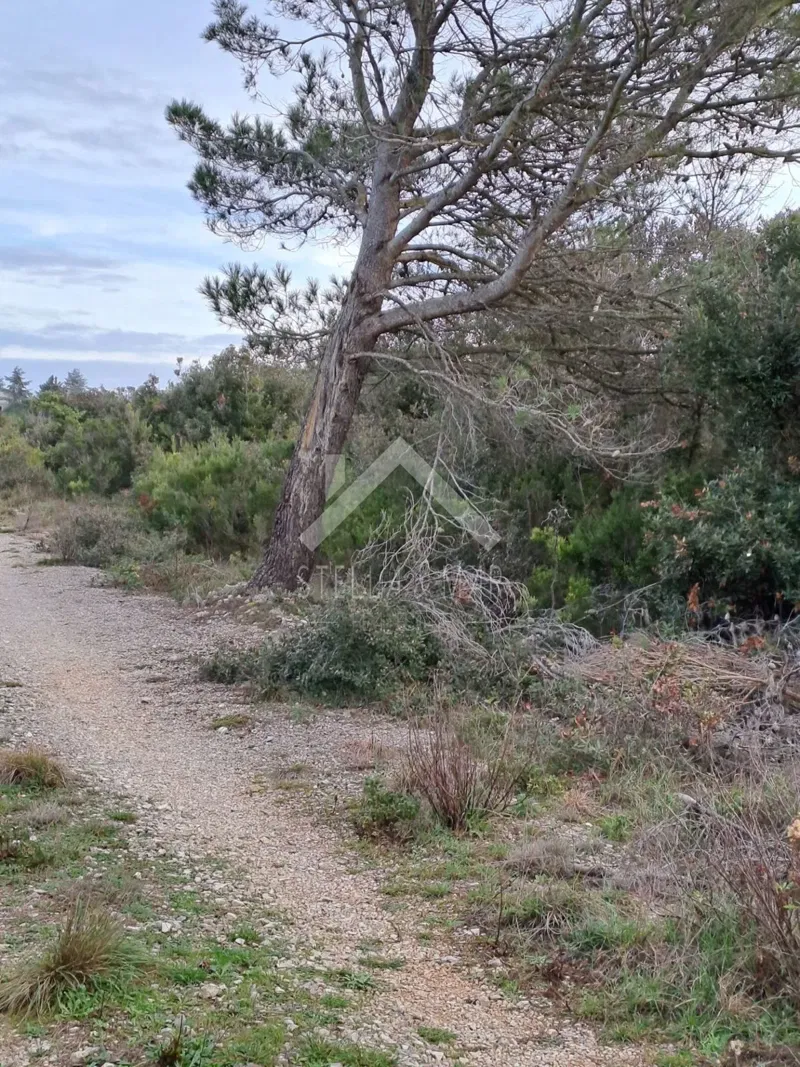 Land Zaton, Nin, 1.230m2 – 3