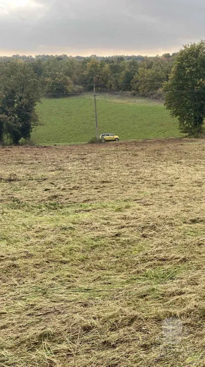 Land in Nova Vas – 2