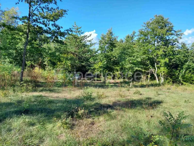 Nelle vicinanze di Visignano - terreno edificabile, superficie di 3.337 m² – 2