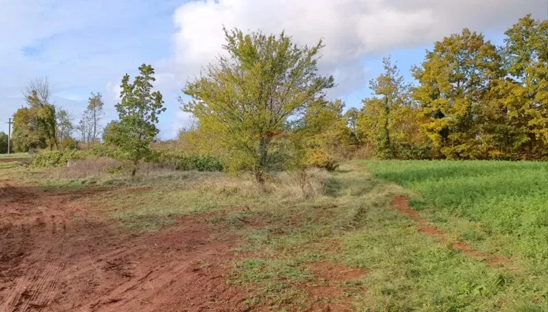 Istria, Žminj – Building land, excellent location – 2
