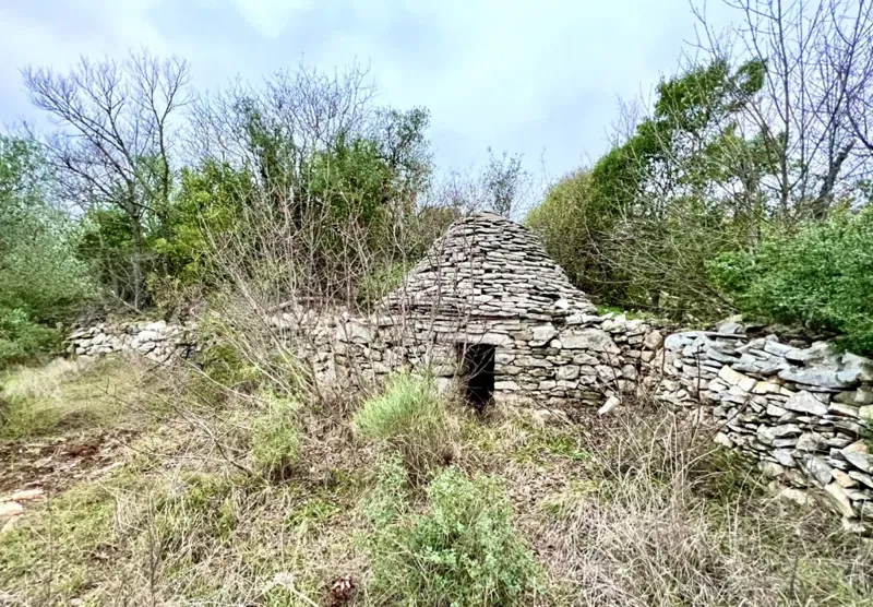 Terreno agricolo con 140 ulivi, uliveto, Istria, Croazia – 3