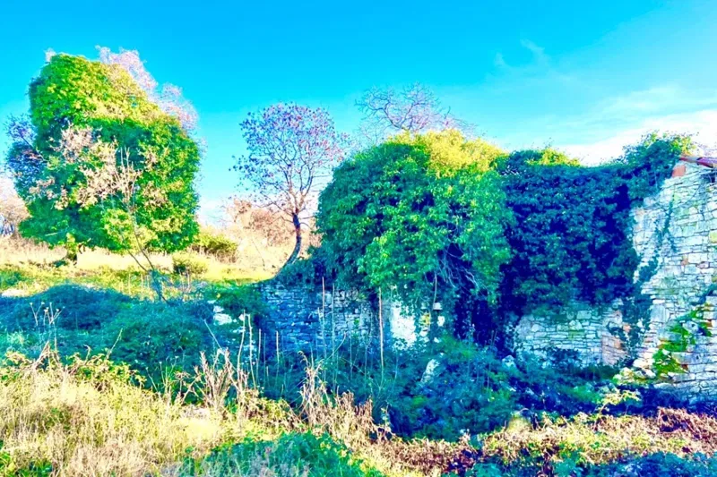 Estate, 10000 m2, two houses, in the heart of Istria, Barban, Istria, Croatia – 3