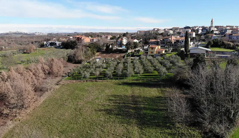 Real estate Istria, building land, near Buje – 2