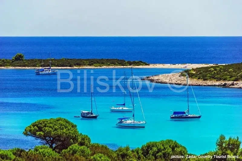 Dugi otok, Soline, land for sale 5000m2, 90m from the sea – 2