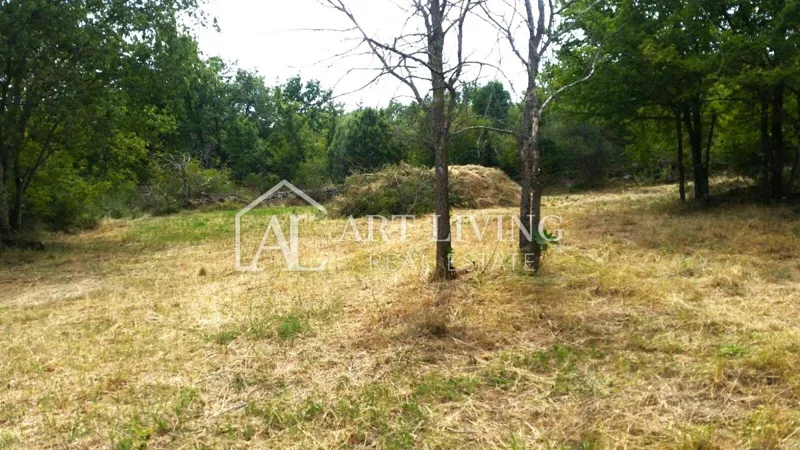 Poreč-okolica, Lijepo građevinsko zemljište 626 m2 – 2