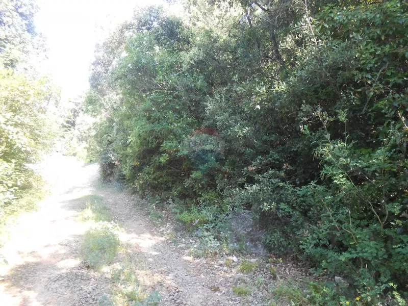 Terreno non edificabile Peruški, Marčana, 11.406m2 – 2