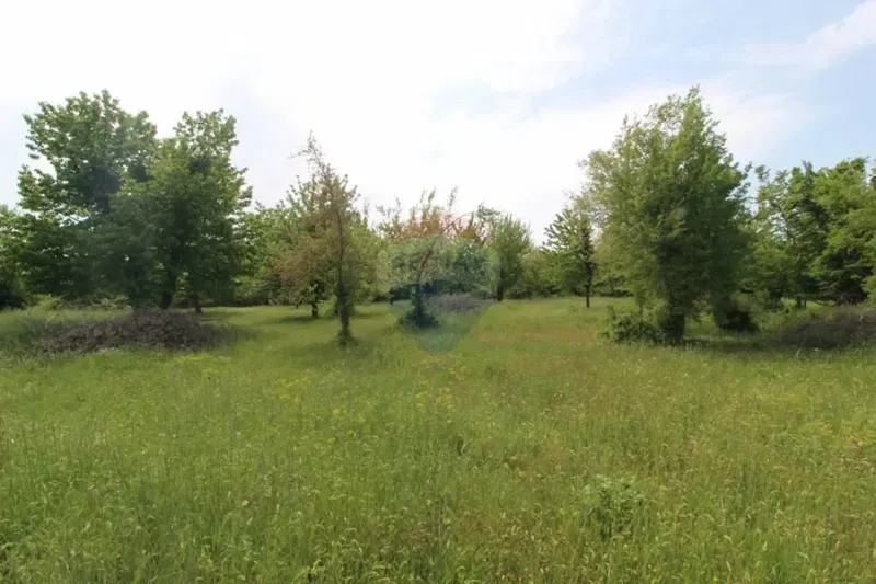 Non-structural plot Višnjan, 5.397m2 – 2