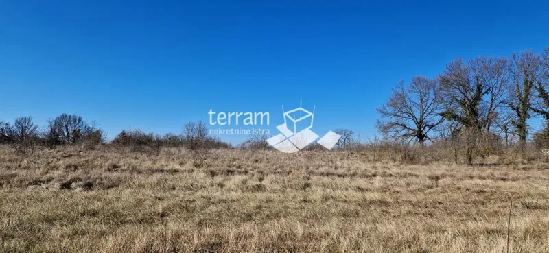 Istria, Žminj, Balići, terreno edificabile 4744m2 in vendita – 2