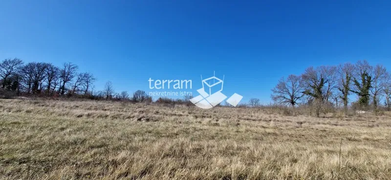Istria, Žminj, Balići, terreno edificabile 4744m2 in vendita – 3