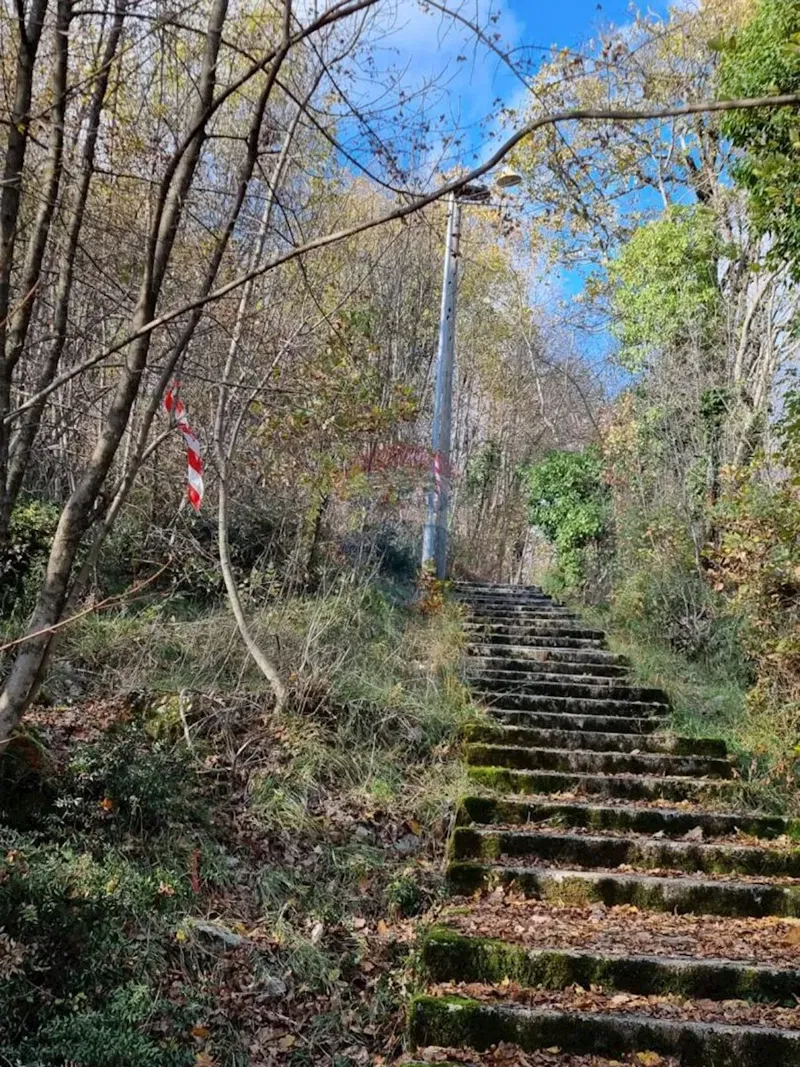 Telek Poljane – 2