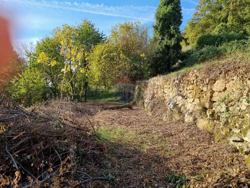 Telek Poljane – 3
