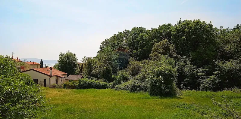 Działka Ika – 3