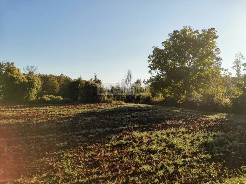 Terreno Tinjan – 2