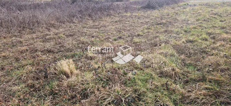 Istria, Barban, terreno edificabile 3160m2 con un edificio di 40m2 in vendita – 2