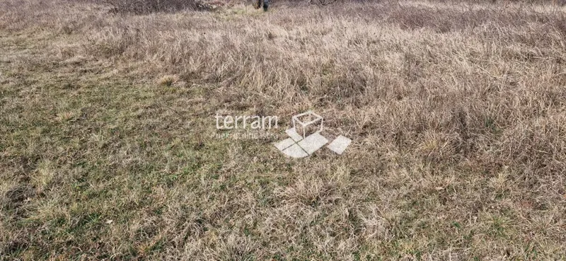 Istria, Barban, terreno edificabile 3160m2 con un edificio di 40m2 in vendita – 3