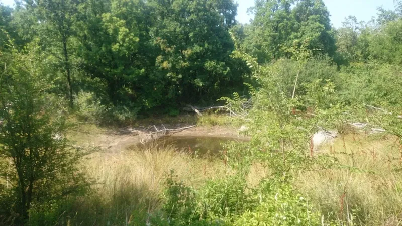 Terreno Ripenda Kras – 2