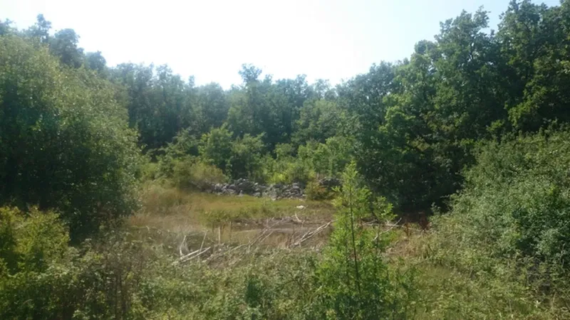 Terreno Ripenda Kras – 3
