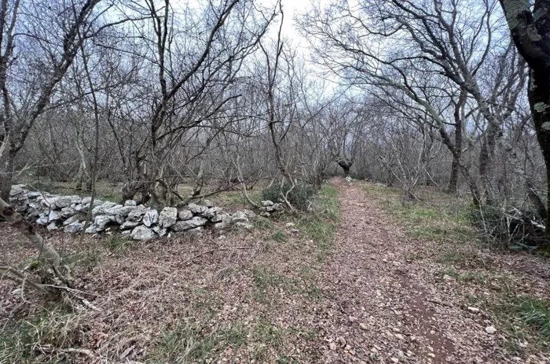 Agricultural land, for sale, City of Krk, Croatia, 11000 m2, 450.000,00 EUR – 2
