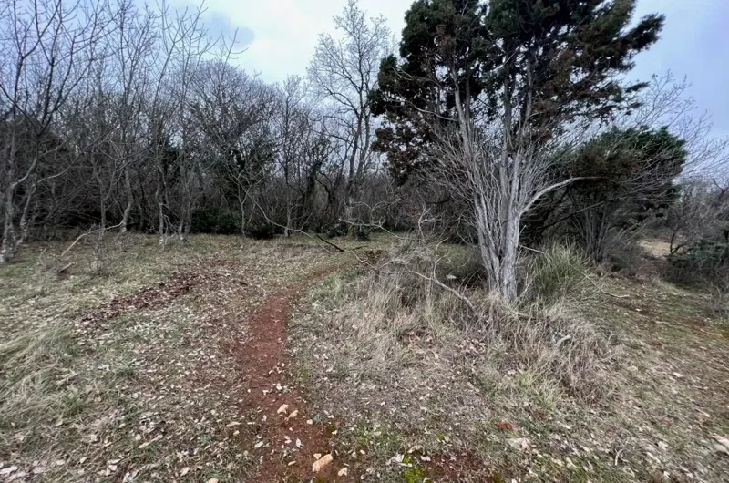 Agricultural land, for sale, City of Krk, Croatia, 11000 m2, 450.000,00 EUR – 3