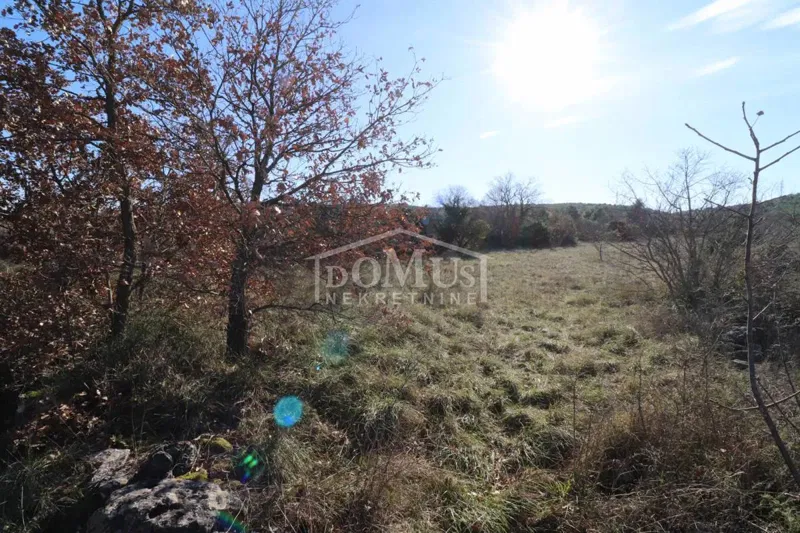 Dubrava - Šibenik, agricultural land 3582 m2 – 2