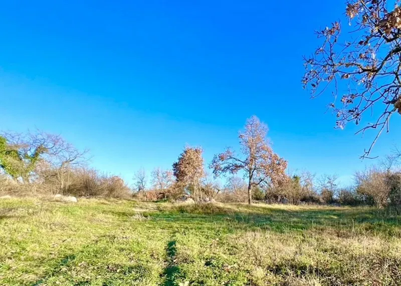 Terreno edificabile in ottima posizione, ideale per costruire una villa o più ville, Režanci, Istria – 2