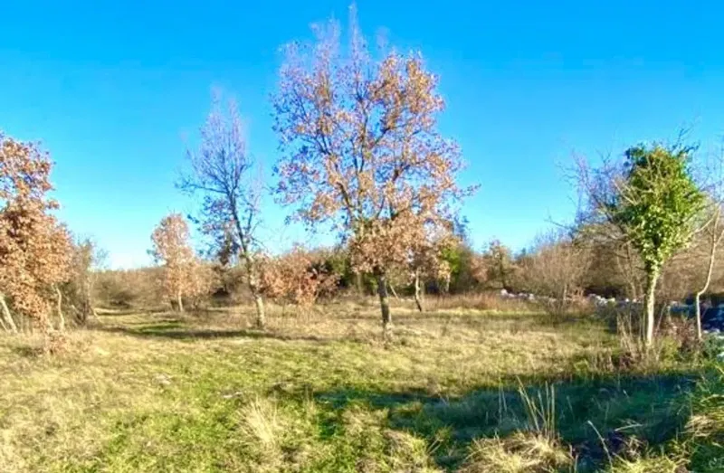 Terreno edificabile in ottima posizione, ideale per costruire una villa o più ville, Režanci, Istria – 3