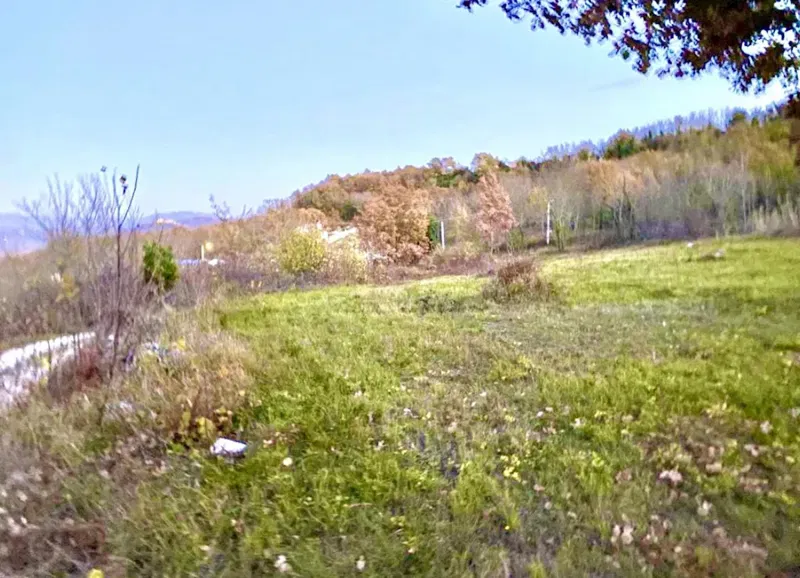 Terreno agricolo in ottima posizione, Režanci, Istria – 3