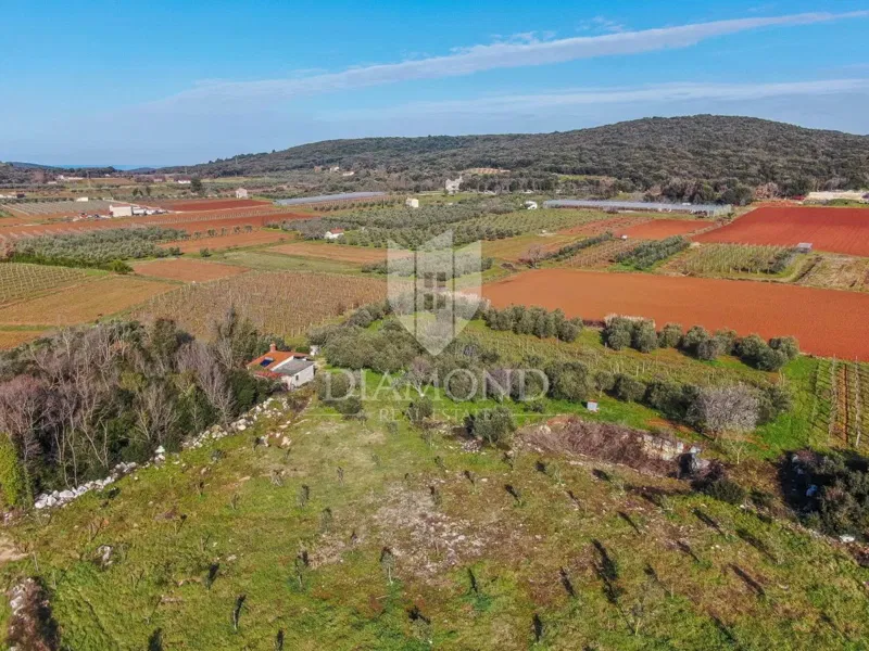 Rovinj, cultivated land with a legalized house – 2