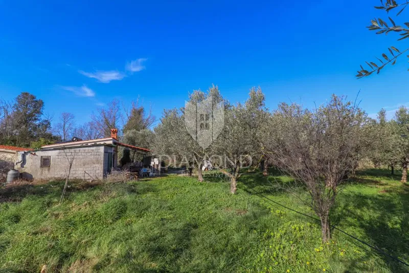 Rovinj, cultivated land with a legalized house – 3