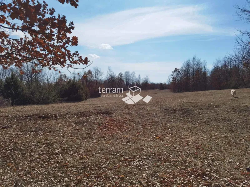 Istria, Žminj, agricultural land 59542m2, for sale – 2