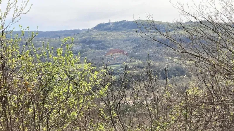 Dom Pićan – 3